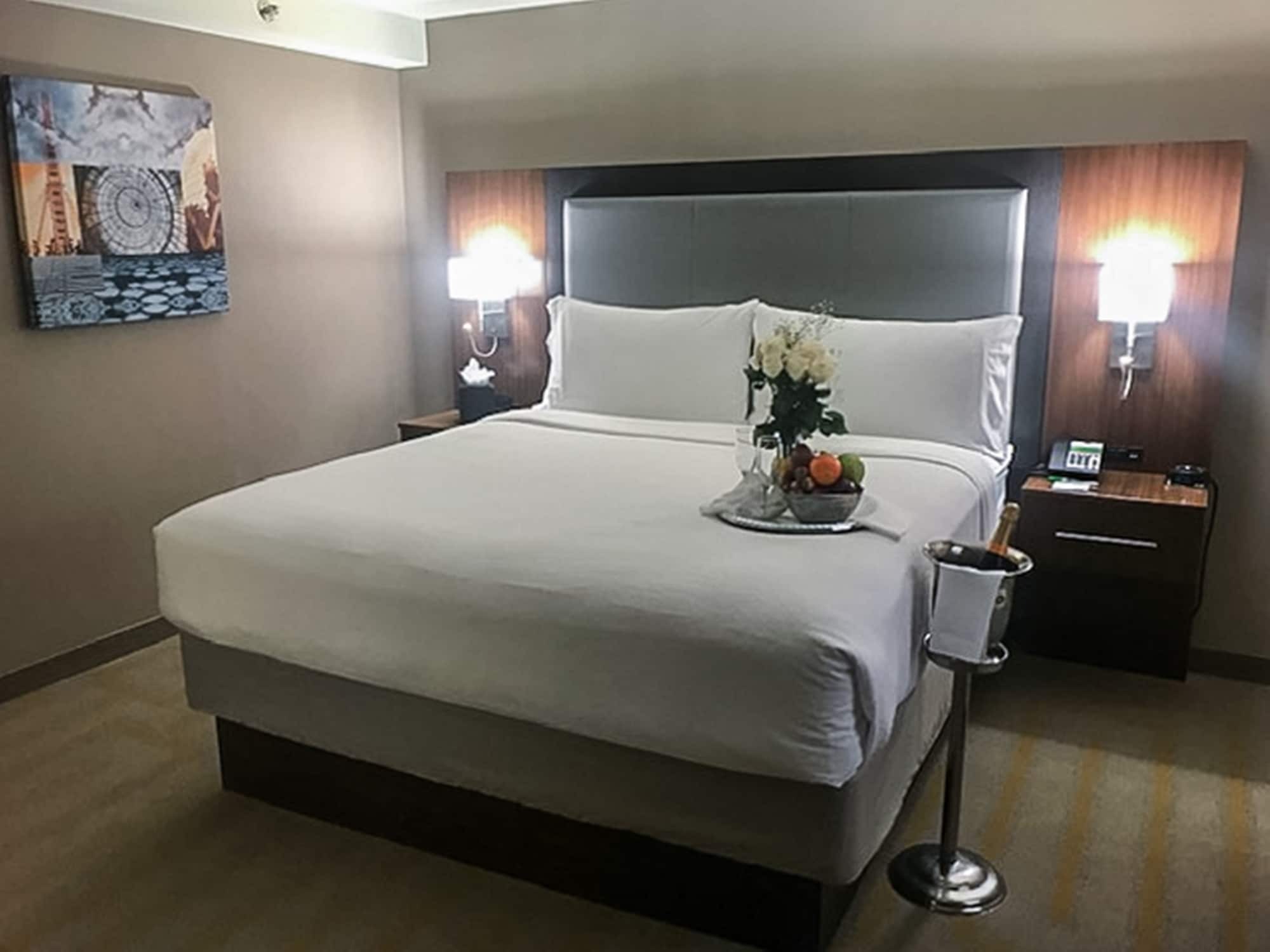 Holiday Inn Chicago Sw-Countryside Confctr By Ihg Exterior foto